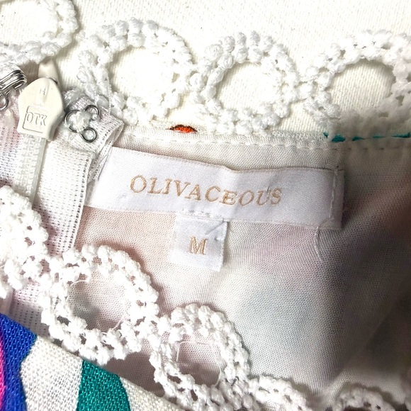 Olivaceous Multicolor Lace Trim Dress - Picture 6 of 10